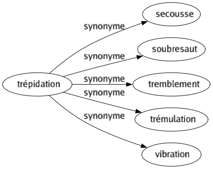 Synonyme de Trépidation : Secousse Soubresaut Tremblement Trémulation Vibration 
