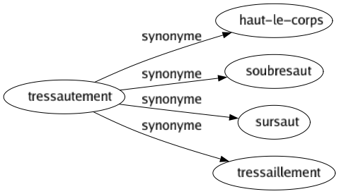 Synonyme de Tressautement : Haut-le-corps Soubresaut Sursaut Tressaillement 