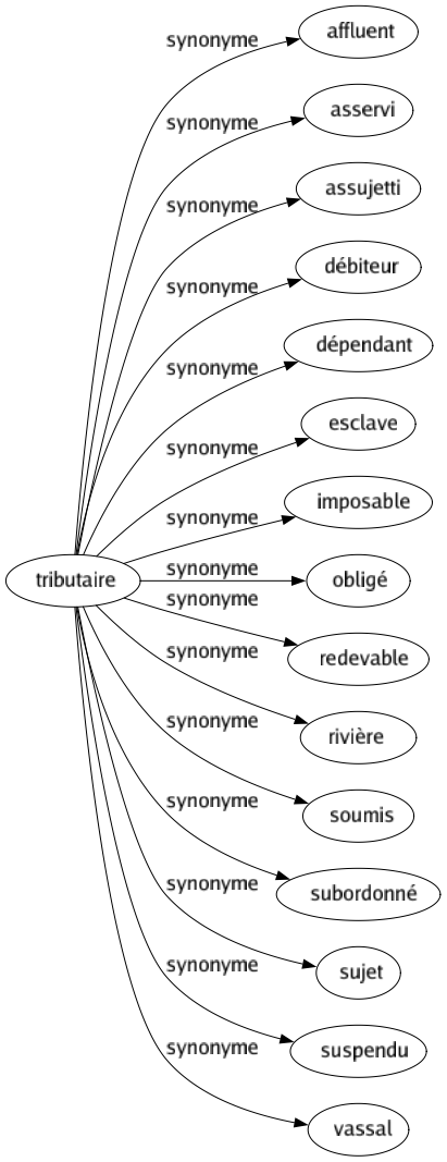 Synonyme de Tributaire : Affluent Asservi Assujetti Débiteur Dépendant Esclave Imposable Obligé Redevable Rivière Soumis Subordonné Sujet Suspendu Vassal 
