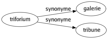 Synonyme de Triforium : Galerie Tribune 