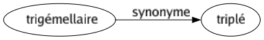 Synonyme de Trigémellaire : Triplé 