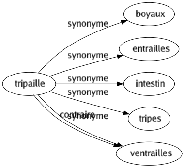 Synonyme de Tripaille : Boyaux Entrailles Intestin Tripes Ventrailles 