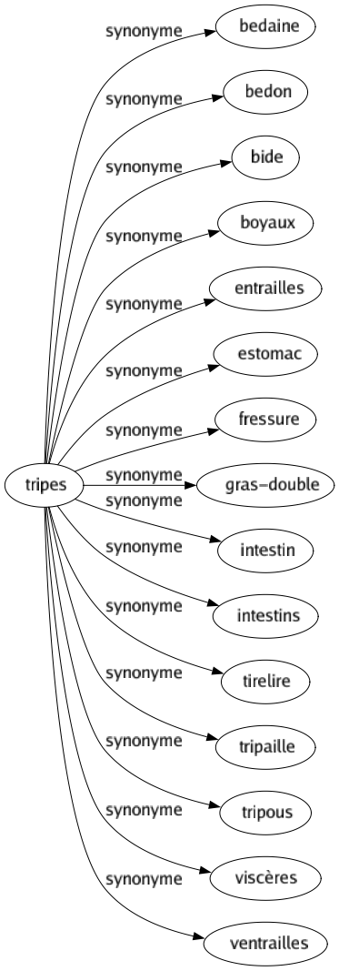 Synonyme de Tripes : Bedaine Bedon Bide Boyaux Entrailles Estomac Fressure Gras-double Intestin Intestins Tirelire Tripaille Tripous Viscères Ventrailles 
