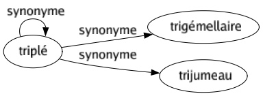 Synonyme de Triplé : Trigémellaire Trijumeau Triplé 