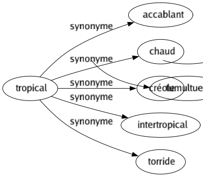 Synonyme de Tropical : Accablant Chaud Créole Intertropical Torride 