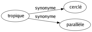 Synonyme de Tropique : Cerclé Parallèle 