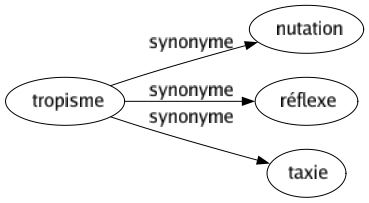Synonyme de Tropisme : Nutation Réflexe Taxie 