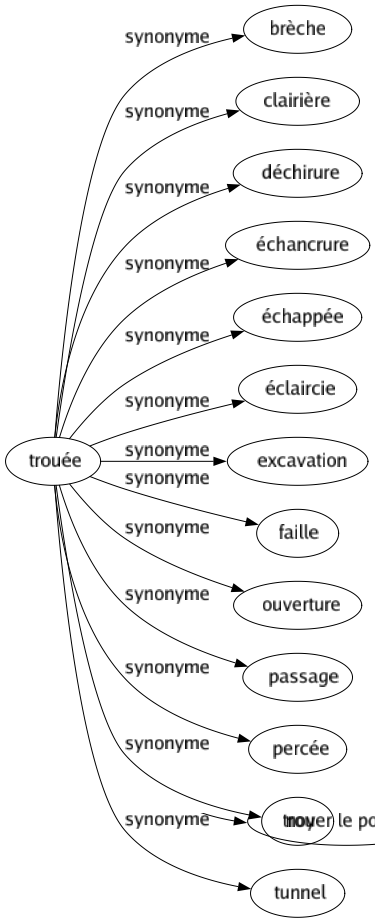 Synonyme de Trouée : Brèche Clairière Déchirure Échancrure Échappée Éclaircie Excavation Faille Ouverture Passage Percée Trou Tunnel 