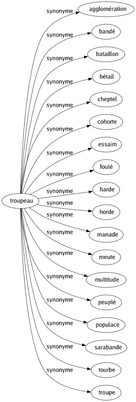 Synonyme de Troupeau : Agglomération Bandé Bataillon Bétail Cheptel Cohorte Essaim Foulé Harde Horde Manade Meute Multitude Peuplé Populace Sarabande Tourbe Troupe 