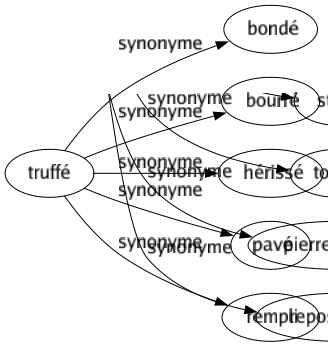 Synonyme de Truffé : Bondé Bourré Hérissé Pavé Rempli 