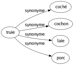 Synonyme de Truie : Coché Cochon Laie Porc 