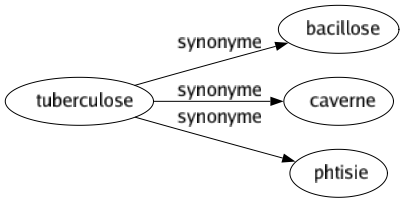 Synonyme de Tuberculose : Bacillose Caverne Phtisie 
