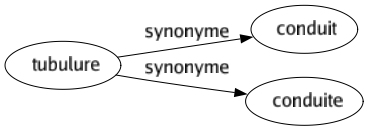 Synonyme de Tubulure : Conduit Conduite 