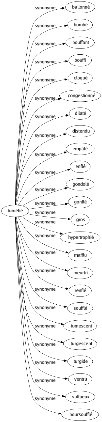 Synonyme de Tuméfié : Ballonné Bombé Bouffant Bouffi Cloqué Congestionné Dilaté Distendu Empâté Enflé Gondolé Gonflé Gros Hypertrophié Mafflu Meurtri Renflé Soufflé Tumescent Turgescent Turgide Ventru Vultueux Boursoufflé 