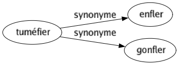 Synonyme de Tuméfier : Enfler Gonfler 