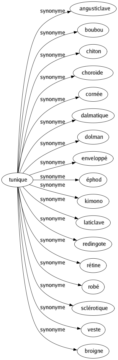 Synonyme de Tunique : Angusticlave Boubou Chiton Choroïde Cornée Dalmatique Dolman Enveloppé Éphod Kimono Laticlave Redingote Rétine Robé Sclérotique Veste Broigne 