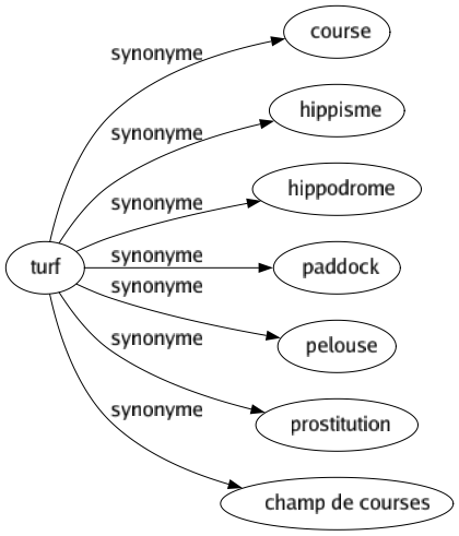 Synonyme de Turf : Course Hippisme Hippodrome Paddock Pelouse Prostitution Champ de courses 