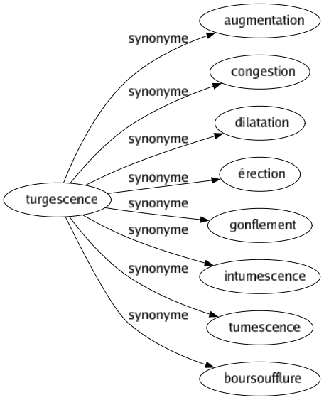 Synonyme de Turgescence : Augmentation Congestion Dilatation Érection Gonflement Intumescence Tumescence Boursoufflure 