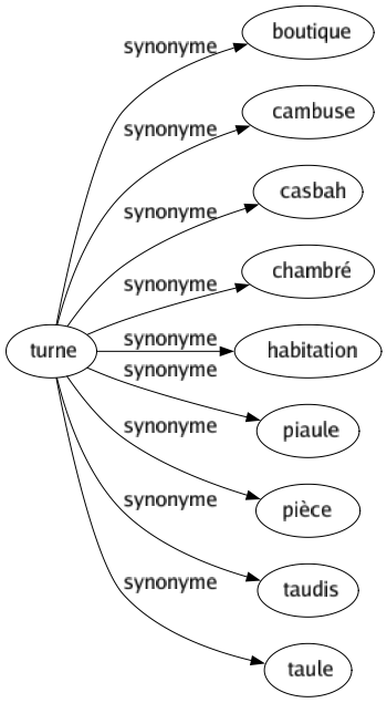 Synonyme de Turne : Boutique Cambuse Casbah Chambré Habitation Piaule Pièce Taudis Taule 