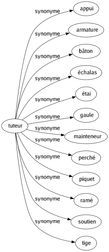 Synonyme de Tuteur : Appui Armature Bâton Échalas Étai Gaule Mainteneur Perché Piquet Ramé Soutien Tige 