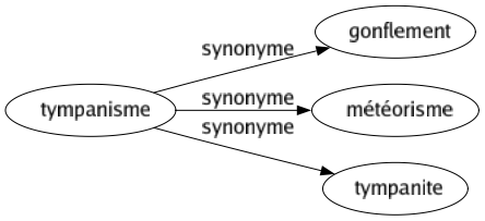 Synonyme de Tympanisme : Gonflement Météorisme Tympanite 