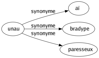Synonyme de Unau : Aï Bradype Paresseux 
