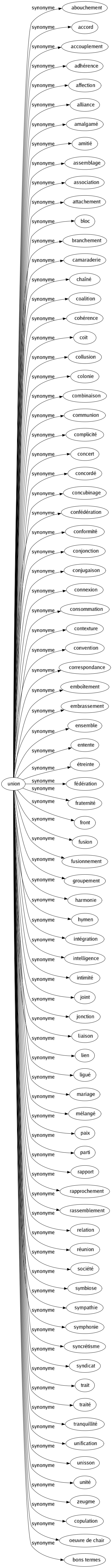 Synonyme de Union : Abouchement Accord Accouplement Adhérence Affection Alliance Amalgamé Amitié Assemblage Association Attachement Bloc Branchement Camaraderie Chaîné Coalition Cohérence Coït Collusion Colonie Combinaison Communion Complicité Concert Concordé Concubinage Confédération Conformité Conjonction Conjugaison Connexion Consommation Contexture Convention Correspondance Emboîtement Embrassement Ensemble Entente Étreinte Fédération Fraternité Front Fusion Fusionnement Groupement Harmonie Hymen Intégration Intelligence Intimité Joint Jonction Liaison Lien Ligué Mariage Mélangé Paix Parti Rapport Rapprochement Rassemblement Relation Réunion Société Symbiose Sympathie Symphonie Syncrétisme Syndicat Trait Traité Tranquillité Unification Unisson Unité Zeugme Copulation Oeuvre de chair Bons termes 