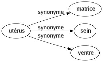 Synonyme de Utérus : Matrice Sein Ventre 