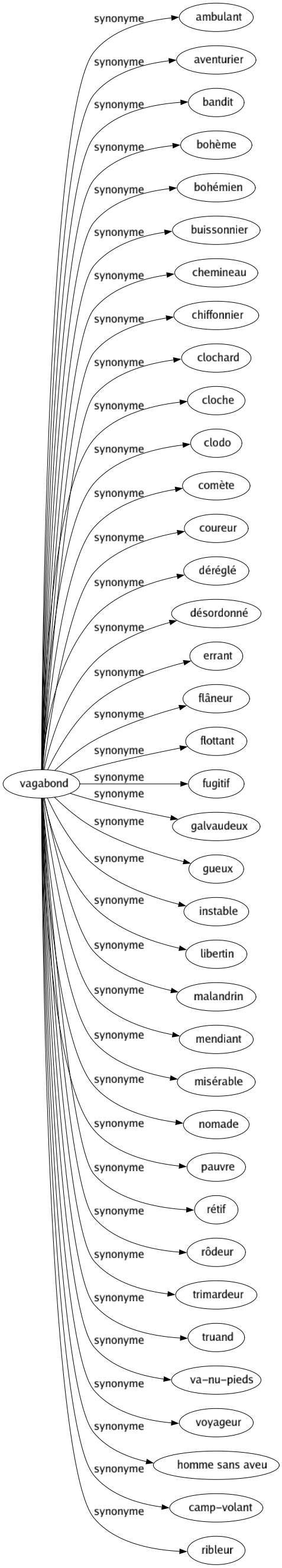 Synonyme de Vagabond : Ambulant Aventurier Bandit Bohème Bohémien Buissonnier Chemineau Chiffonnier Clochard Cloche Clodo Comète Coureur Déréglé Désordonné Errant Flâneur Flottant Fugitif Galvaudeux Gueux Instable Libertin Malandrin Mendiant Misérable Nomade Pauvre Rétif Rôdeur Trimardeur Truand Va-nu-pieds Voyageur Homme sans aveu Camp-volant Ribleur 