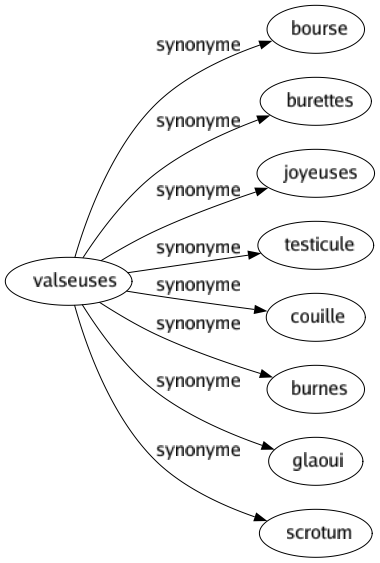 Synonyme de Valseuses : Bourse Burettes Joyeuses Testicule Couille Burnes Glaoui Scrotum 