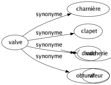 Synonyme de Valve : Charnière Clapet Diode Obturateur 