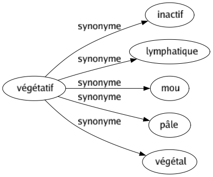 Synonyme de Végétatif : Inactif Lymphatique Mou Pâle Végétal 
