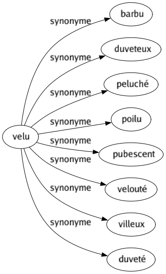Synonyme de Velu : Barbu Duveteux Peluché Poilu Pubescent Velouté Villeux Duveté 