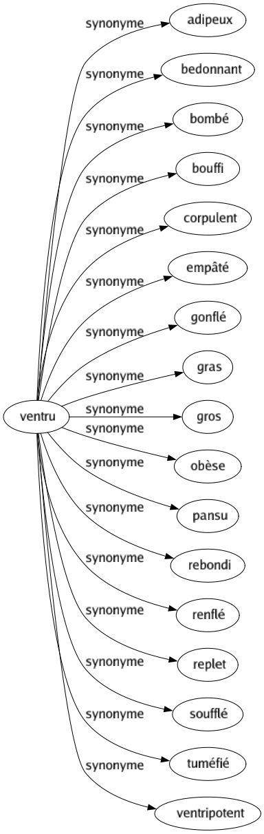 Synonyme de Ventru : Adipeux Bedonnant Bombé Bouffi Corpulent Empâté Gonflé Gras Gros Obèse Pansu Rebondi Renflé Replet Soufflé Tuméfié Ventripotent 