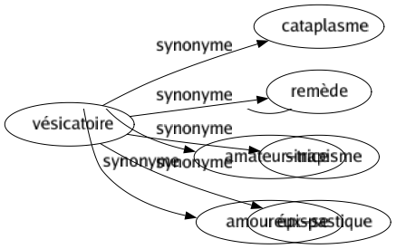 Synonyme de Vésicatoire : Cataplasme Remède Sinapisme Épispastique 