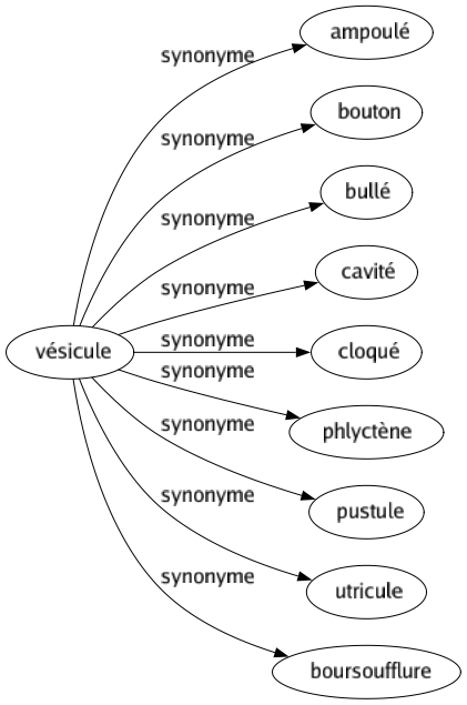 Synonyme de Vésicule : Ampoulé Bouton Bullé Cavité Cloqué Phlyctène Pustule Utricule Boursoufflure 