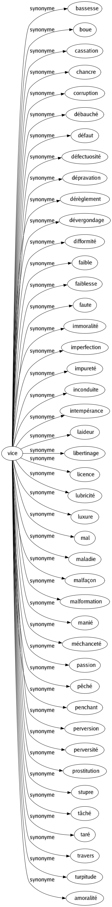 Synonyme de Vice : Bassesse Boue Cassation Chancre Corruption Débauché Défaut Défectuosité Dépravation Dérèglement Dévergondage Difformité Faible Faiblesse Faute Immoralité Imperfection Impureté Inconduite Intempérance Laideur Libertinage Licence Lubricité Luxure Mal Maladie Malfaçon Malformation Manié Méchanceté Passion Pêché Penchant Perversion Perversité Prostitution Stupre Tâché Taré Travers Turpitude Amoralité 