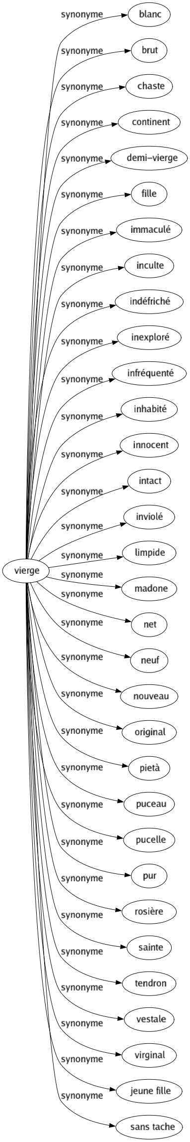 Synonyme de Vierge : Blanc Brut Chaste Continent Demi-vierge Fille Immaculé Inculte Indéfriché Inexploré Infréquenté Inhabité Innocent Intact Inviolé Limpide Madone Net Neuf Nouveau Original Pietà Puceau Pucelle Pur Rosière Sainte Tendron Vestale Virginal Jeune fille Sans tache 