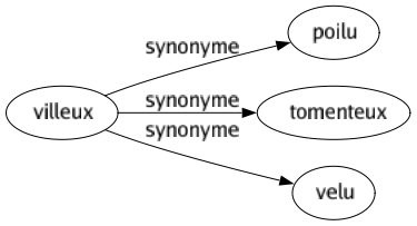 Synonyme de Villeux : Poilu Tomenteux Velu 