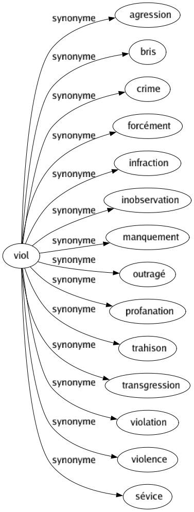 Synonyme de Viol : Agression Bris Crime Forcément Infraction Inobservation Manquement Outragé Profanation Trahison Transgression Violation Violence Sévice 