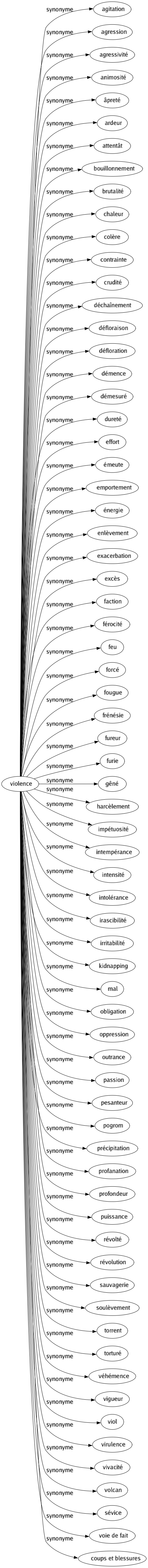 Synonyme de Violence : Agitation Agression Agressivité Animosité Âpreté Ardeur Attentât Bouillonnement Brutalité Chaleur Colère Contrainte Crudité Déchaînement Défloraison Défloration Démence Démesuré Dureté Effort Émeute Emportement Énergie Enlèvement Exacerbation Excès Faction Férocité Feu Forcé Fougue Frénésie Fureur Furie Gêné Harcèlement Impétuosité Intempérance Intensité Intolérance Irascibilité Irritabilité Kidnapping Mal Obligation Oppression Outrance Passion Pesanteur Pogrom Précipitation Profanation Profondeur Puissance Révolté Révolution Sauvagerie Soulèvement Torrent Torturé Véhémence Vigueur Viol Virulence Vivacité Volcan Sévice Voie de fait Coups et blessures 