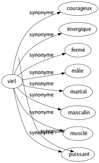 Synonyme de Viril : Courageux Énergique Fermé Mâle Martial Masculin Musclé Puissant 