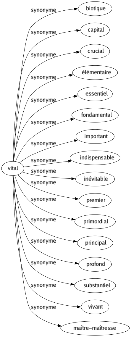 Synonyme de Vital : Biotique Capital Crucial Élémentaire Essentiel Fondamental Important Indispensable Inévitable Premier Primordial Principal Profond Substantiel Vivant Maître-maîtresse 
