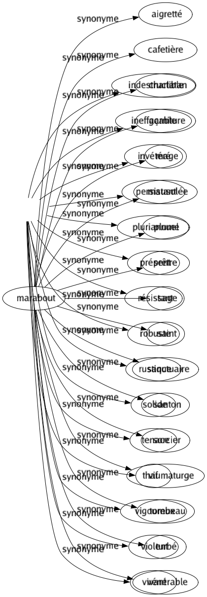 Synonyme de Vivace : Coriace Dur Durable Enraciné Étincelant Généreux Impérissable Indestructible Ineffaçable Invétéré Persistant Pluriannuel Présent Résistant Robuste Rustique Solide Tenace Vif Vigoureux Violent Vivant 