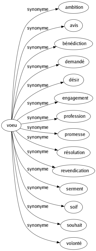 Synonyme de Voeu : Ambition Avis Bénédiction Demandé Désir Engagement Profession Promesse Résolution Revendication Serment Soif Souhait Volonté 