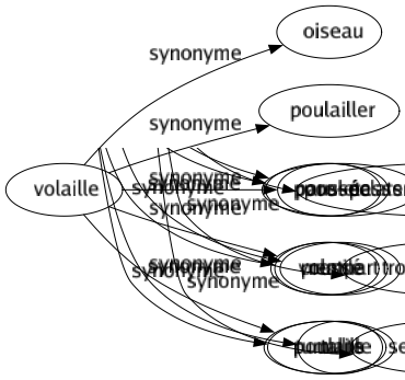 Synonyme de Volaille : Oiseau Poulailler Poulet Volatile Poulaille 
