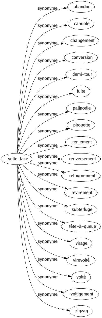 Synonyme de Volte-face : Abandon Cabriole Changement Conversion Demi-tour Fuite Palinodie Pirouette Reniement Renversement Retournement Revirement Subterfuge Tête-à-queue Virage Virevolté Volté Voltigement Zigzag 