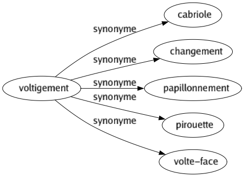 Synonyme de Voltigement : Cabriole Changement Papillonnement Pirouette Volte-face 