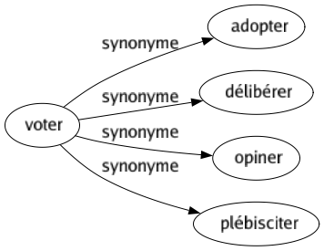 Synonyme de Voter : Adopter Délibérer Opiner Plébisciter 
