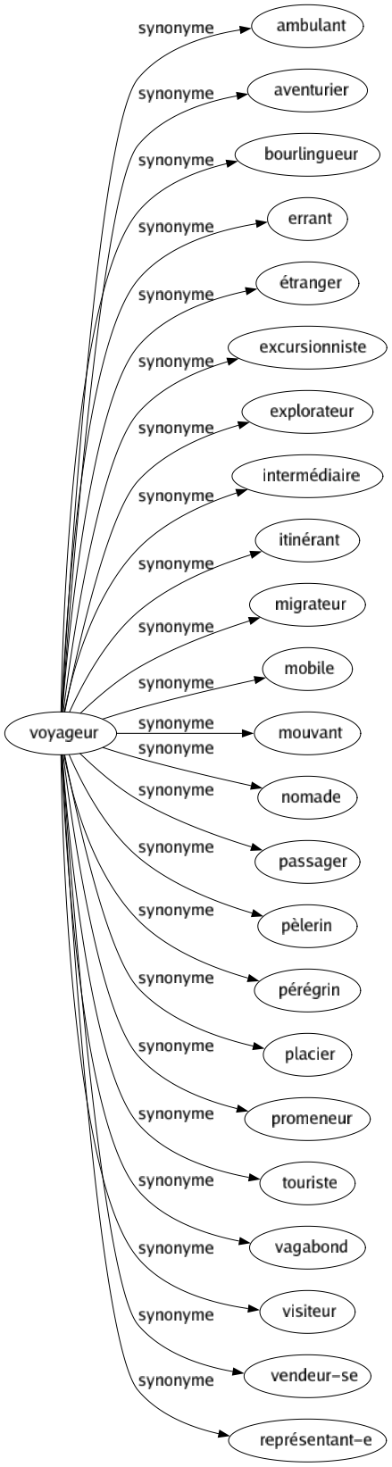 Synonyme de Voyageur : Ambulant Aventurier Bourlingueur Errant Étranger Excursionniste Explorateur Intermédiaire Itinérant Migrateur Mobile Mouvant Nomade Passager Pèlerin Pérégrin Placier Promeneur Touriste Vagabond Visiteur Vendeur-se Représentant-e 